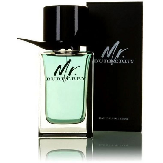 Alkotest BURBERRY Mr. Burberry EDT spray 100ml (3614229840124)